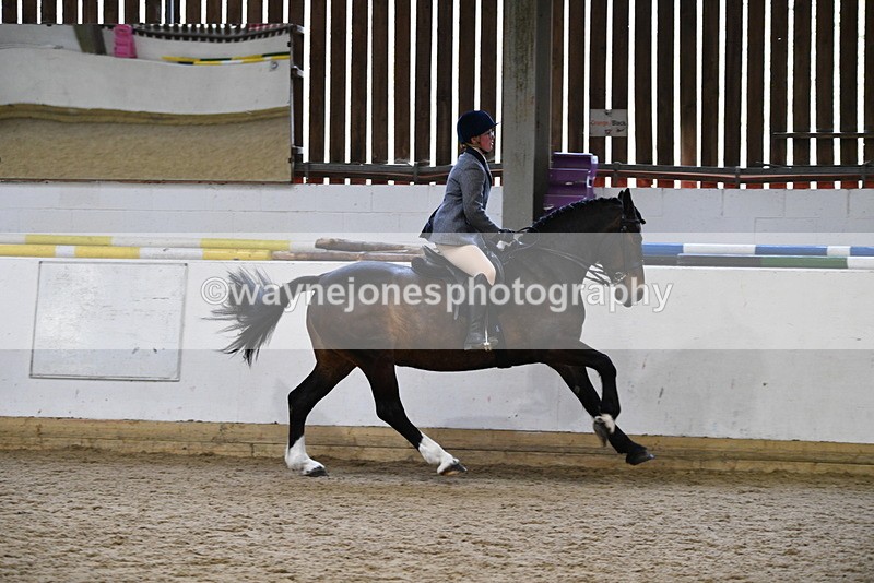 WJ5_7786 - Class 13 Ridden Part Breed