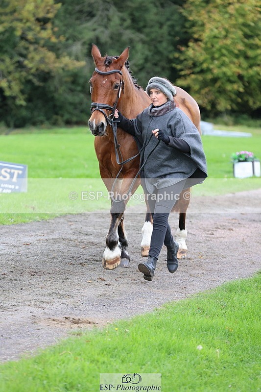 251026A-110014-23442 - G-575-Victoria.Woodland