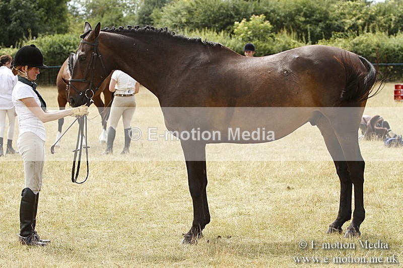 _BS_0968 - BVRC Show 2018 Ring 3