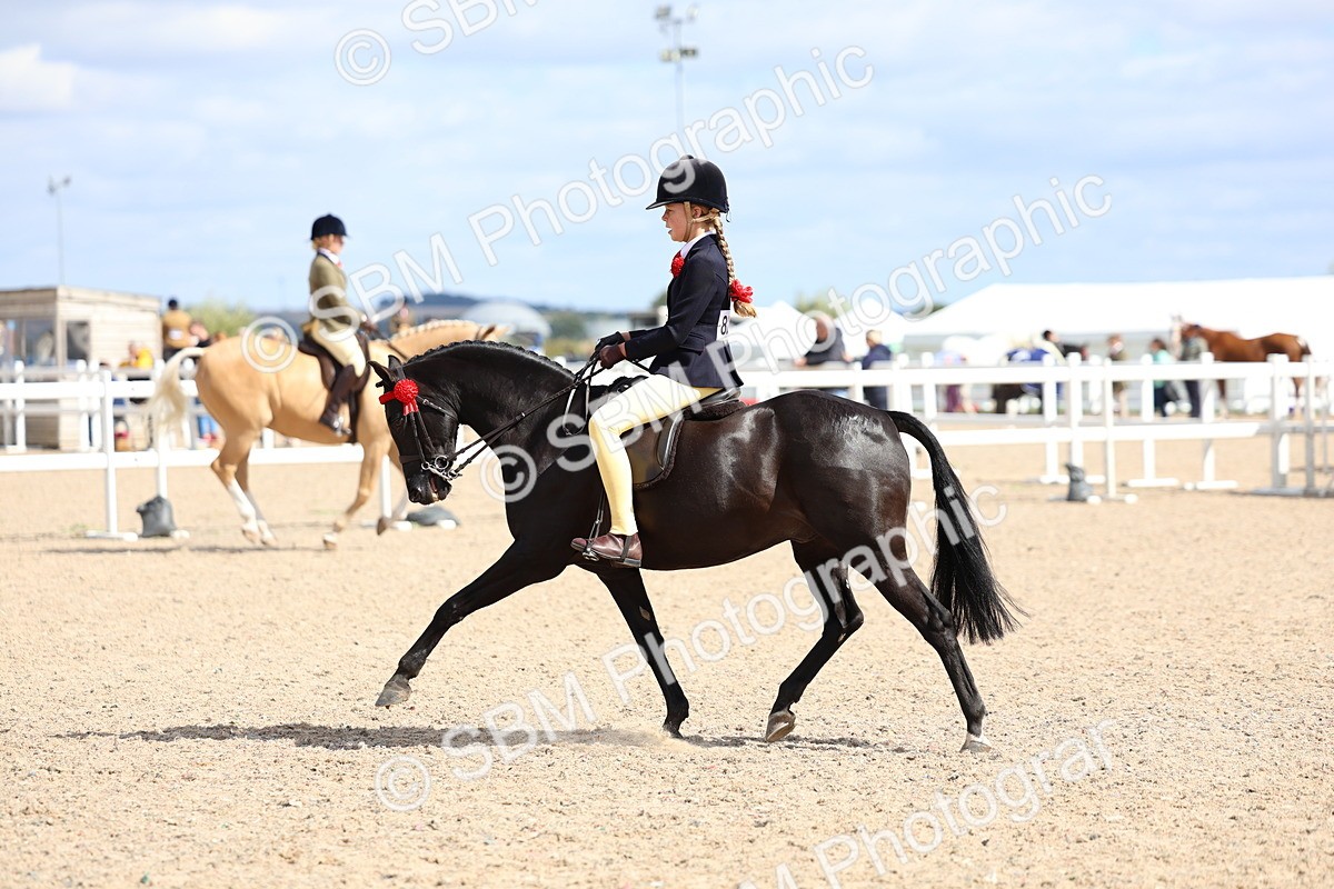 SBM_13282 - Class 311 - Ridden Show Pony Show Hunter Pony