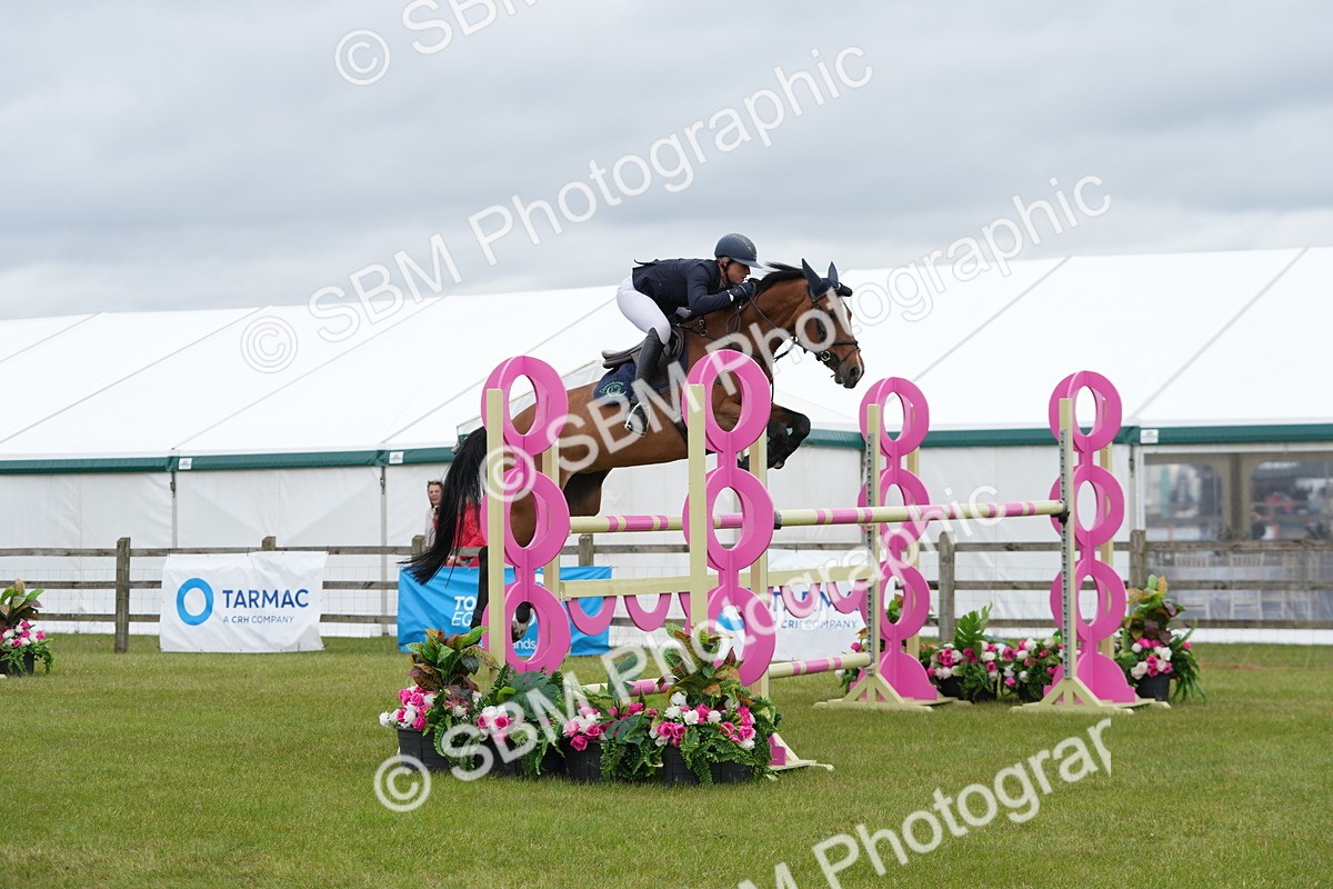 SBM_03457 - Class 201 - British Horse Feeds Speedi Beet Horse of the Year Show Grade  C