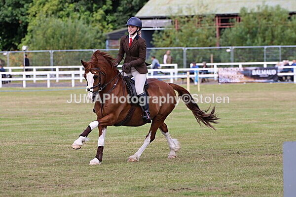 SIAL3481 - Class 8 /9