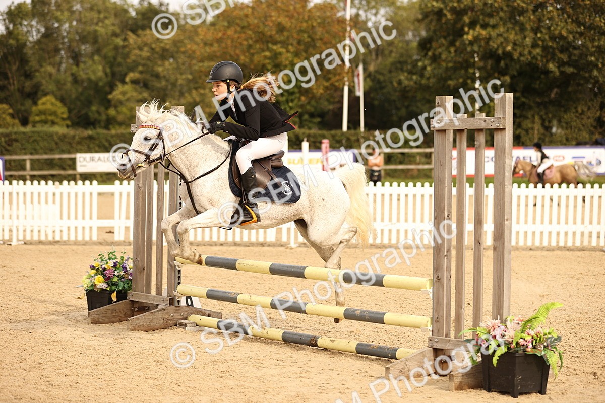 SBM_70762 - J13 - Junior Pony 60cm Championship