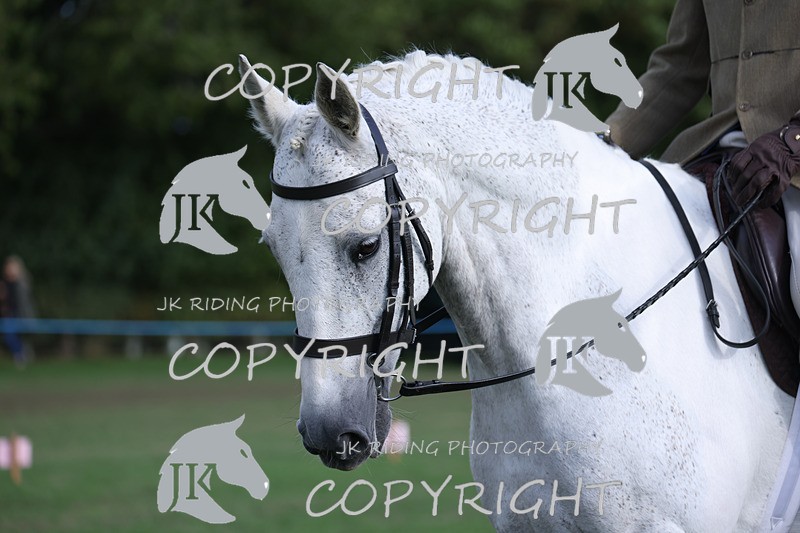 APP_4187 - Class 15a/b Pony club pony/Riding club horse