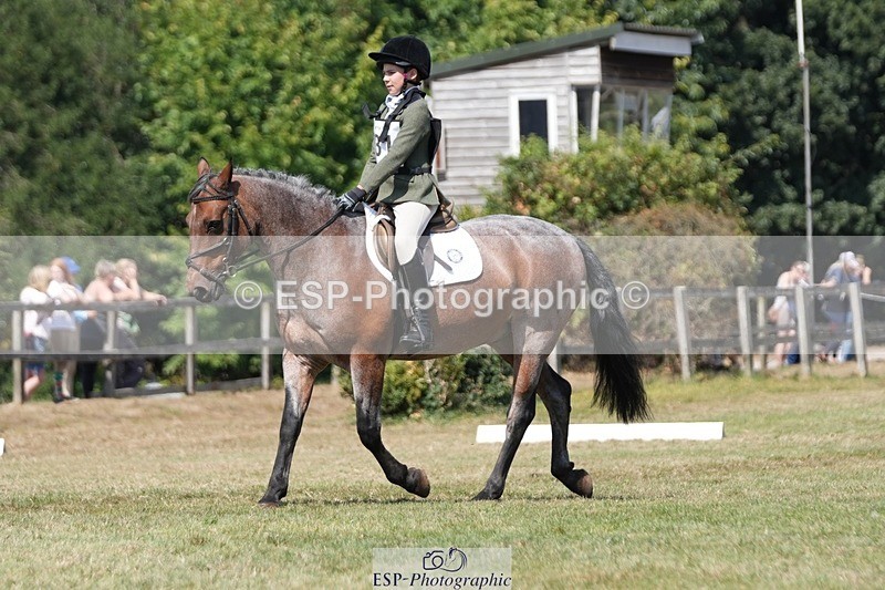 250823A-133247-31213 - Arena A