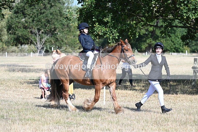 WJ7_2987 - Class 8 Ridden Tack & Turnout