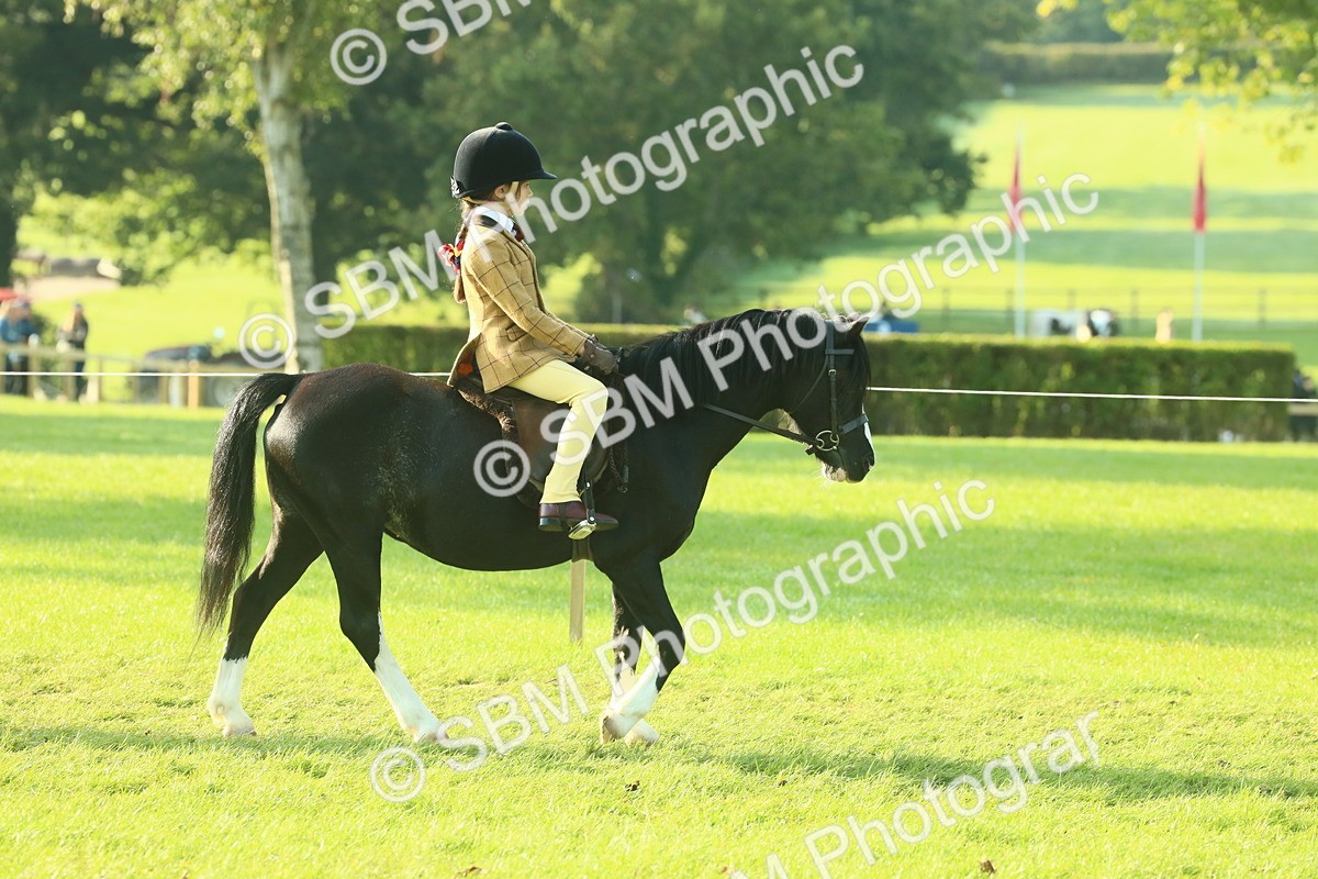 SBM_59118 - S38 - Starters Ridden Showing