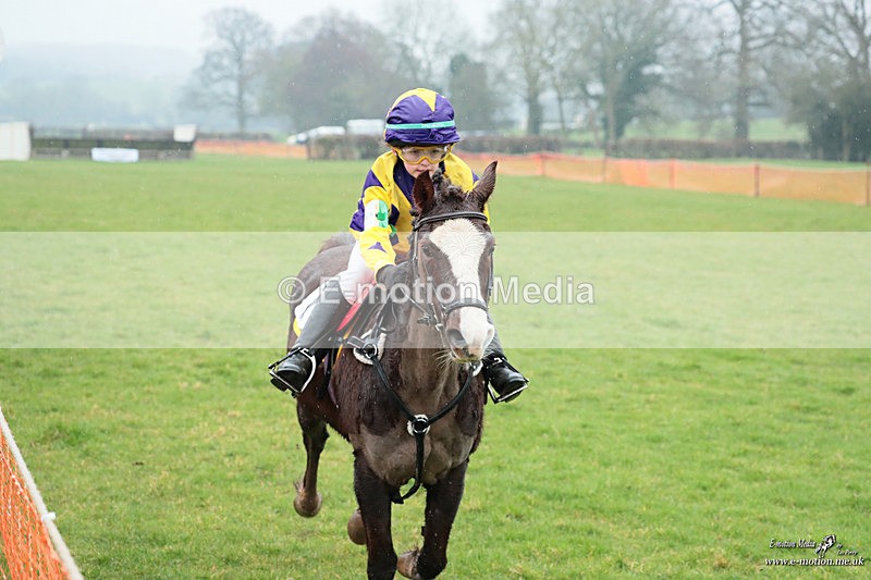 PtP 100324 132 - Pytchley with Woodland Point-to-Point Guilsborough 10/03/24