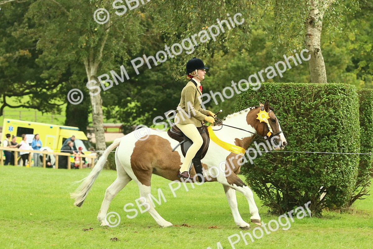 SBM_75017 - Ridden Pony Supreme Championship