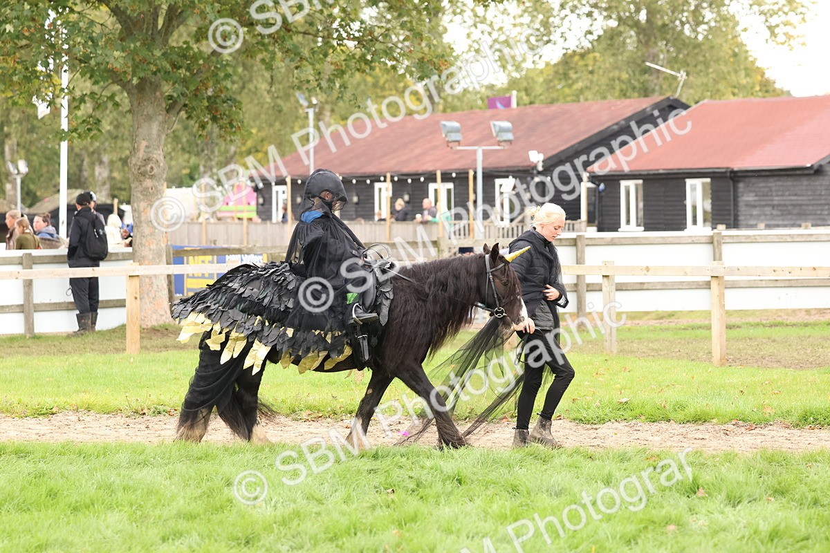 SBM_62150 - S37b - Best Unicorn