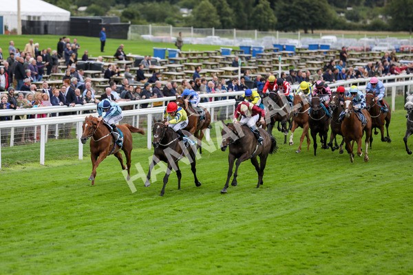 120724-Race 4-Karmology-1717 - Race 4 3.50pm Azets Handicap