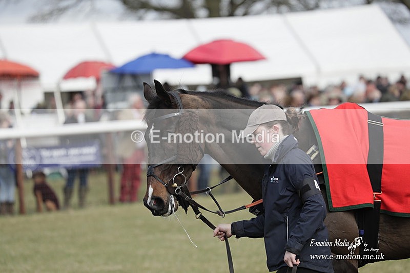 PtP 180323 626 - Shelfield Park Races with Croome & West Warwickshire Hunt  18/03/23