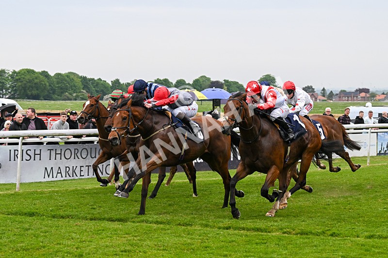 140524-Race 4-Bella Kopella-2054 - Race 4