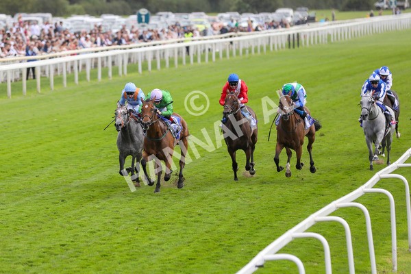240824-Race 3-Breege-8960 - Race 3 3.00pm Sky Bet City Of York Stakes