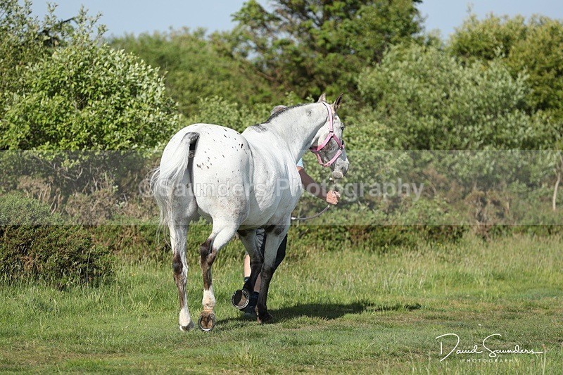 SPXX0093 - Friday vetting