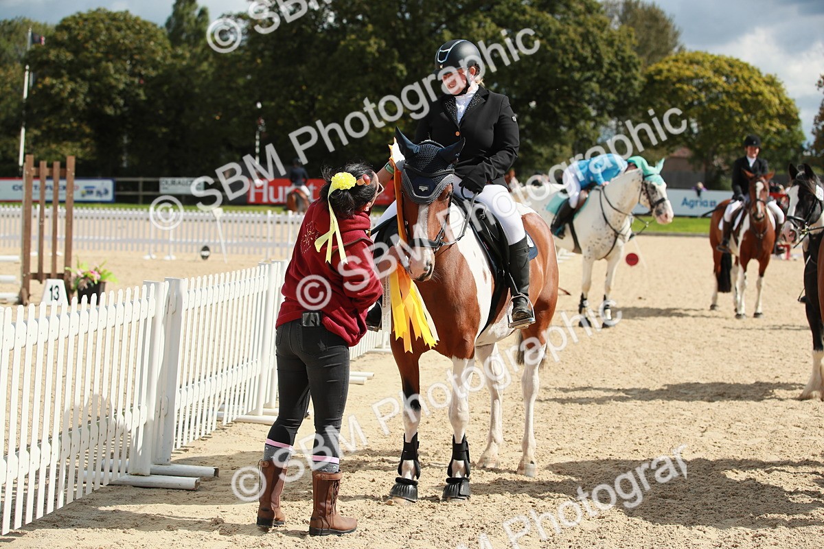 SBM_25416 - J28 Senior 60cm Championship