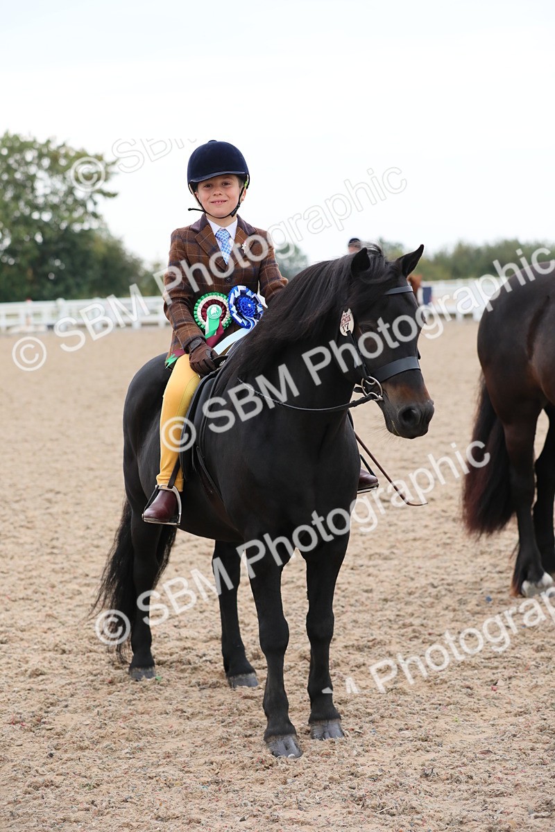 SBM_18242 - Class 316 Best Pony/Rider Combination