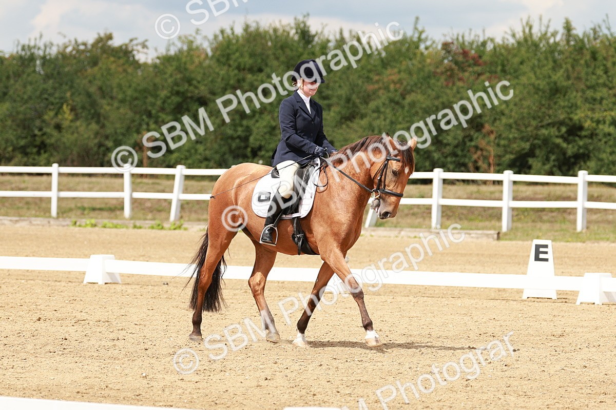 SBM_001739 - Class 8 - Elementary 6