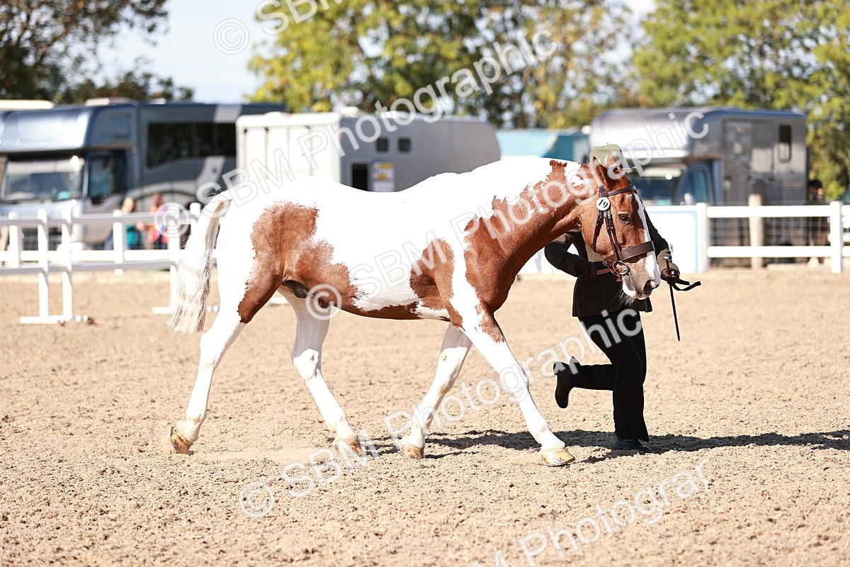 SBM_13220 - Class 405 - IH Show Cob