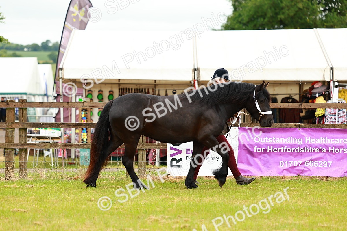 SBM_00360 - Class 58-67 - M&M Non Welsh Pony In hand