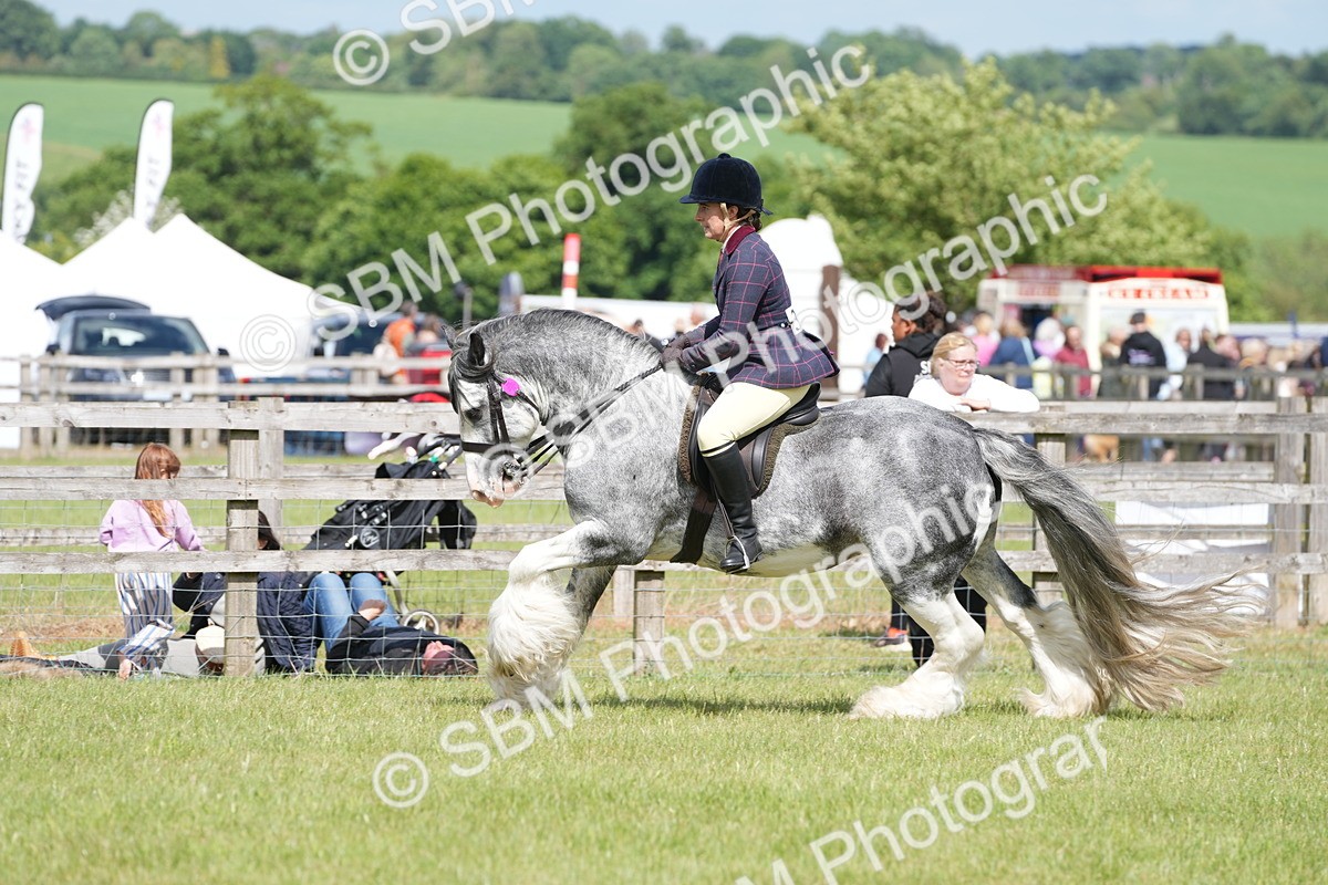 SBM_17307 - Class 107-108 - LIHS BSPS Performance Coloured Horse Pony
