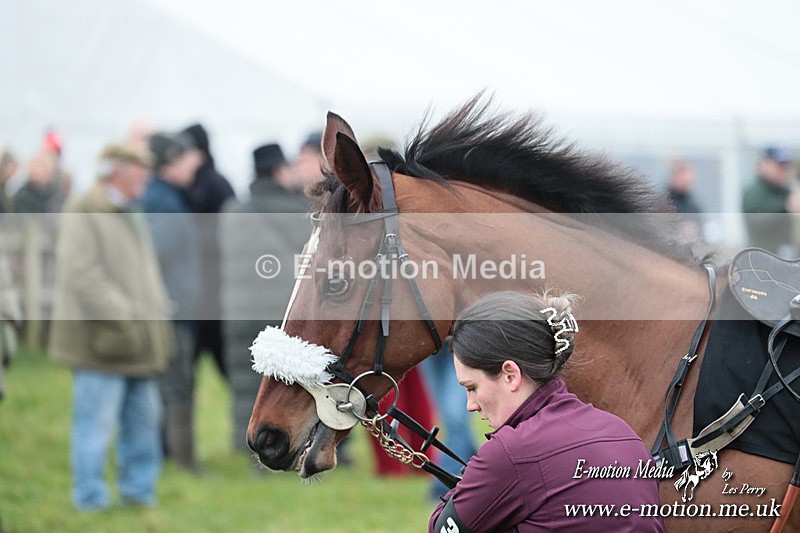 PtP 291224 222 - Harkaway Club PtP Chaddesley Corbett 29/12/24