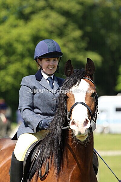 IMG_3544 - Working Hunter