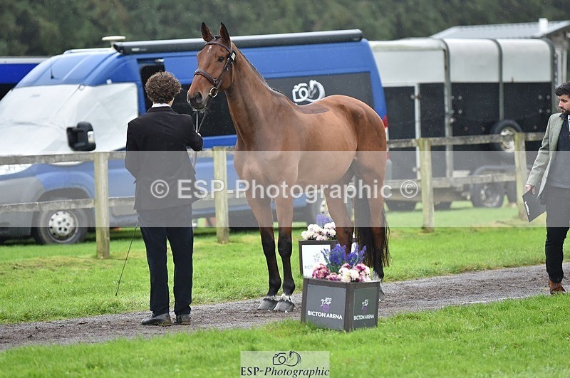 231018-122902-00324 - 039-LAUSANNE.W-Charlie.Ahl-TrotUp