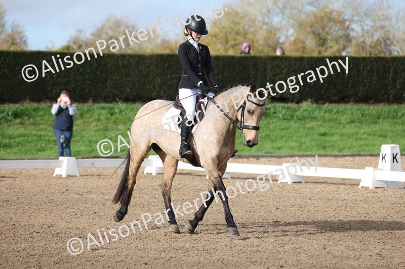 20251101-0291 - Class 2 - Prelim 1