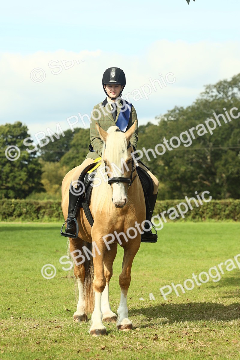 SBM_62701 - S63 - Other Coloured Horse Ridden