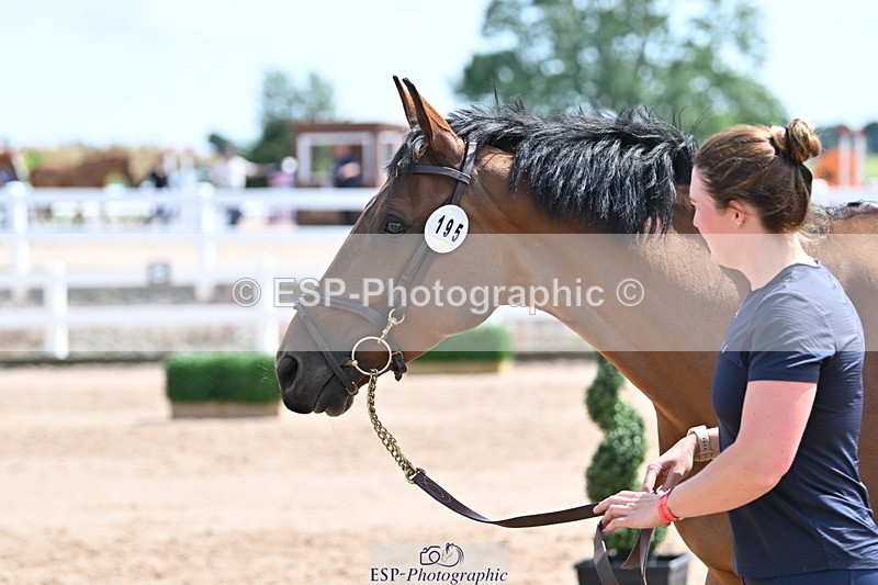 240717A-150441-02517 - Trot Up 3pm to 4pm