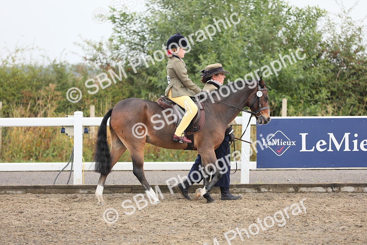 SBM_21702 - Class 806 - Young ridder 10 Yr & Under