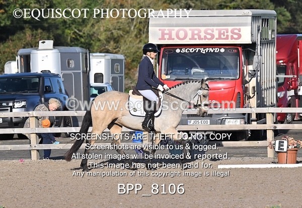 BPP_8106 - SHORT ARENA