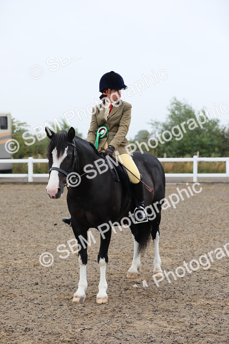 SBM_19975 - Class 801 - Ridden Veteran