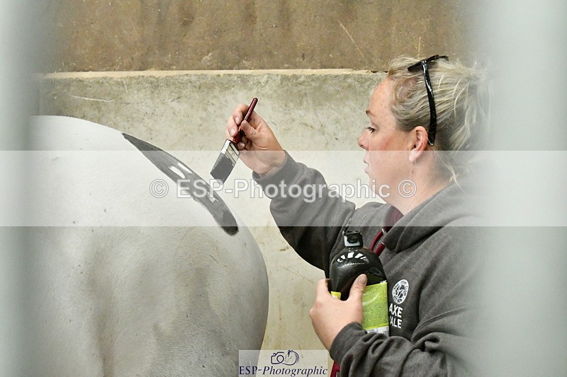 230804A-095337-01529 - Stable Shots