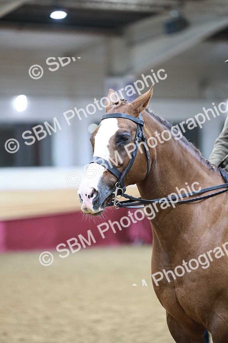 SBM_08957 - Class 12R - Regional Ridden Pre-Vet