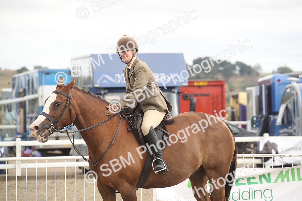 SBM_17749 - Class 508a - Working Veteran 70cm (15-19)