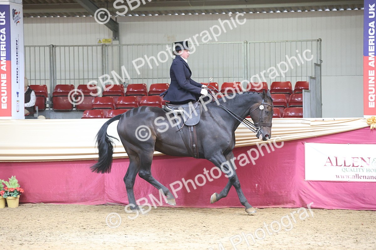 SBM_23731 - class 906 - Supreme Final - Ridden Pre Vet