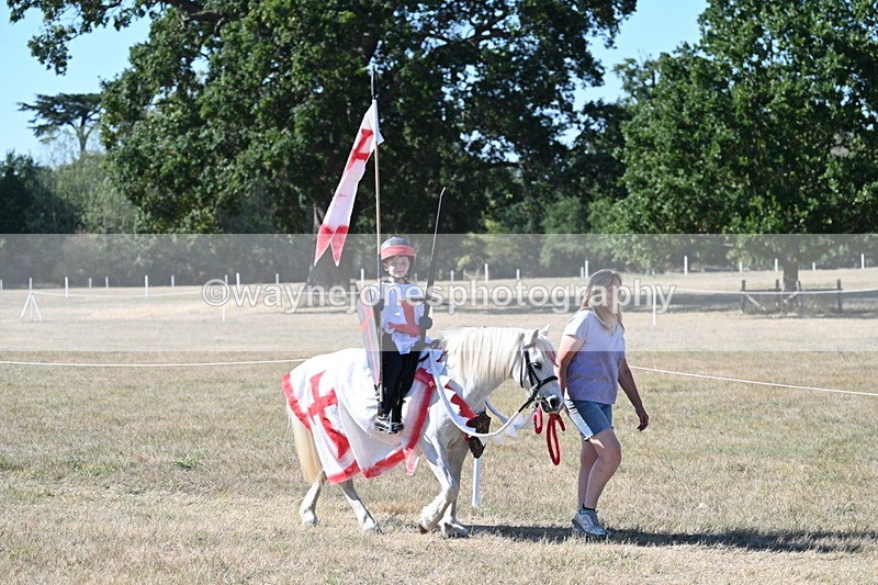 WJ7_2435 - Class 45 Fancy Dress (My Fav)