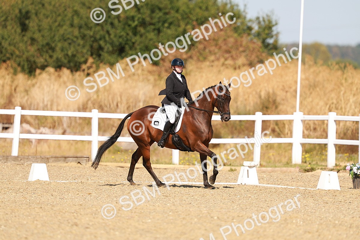 SBM_017726 - Class 9 - N5 Bronze 10.33.11.36