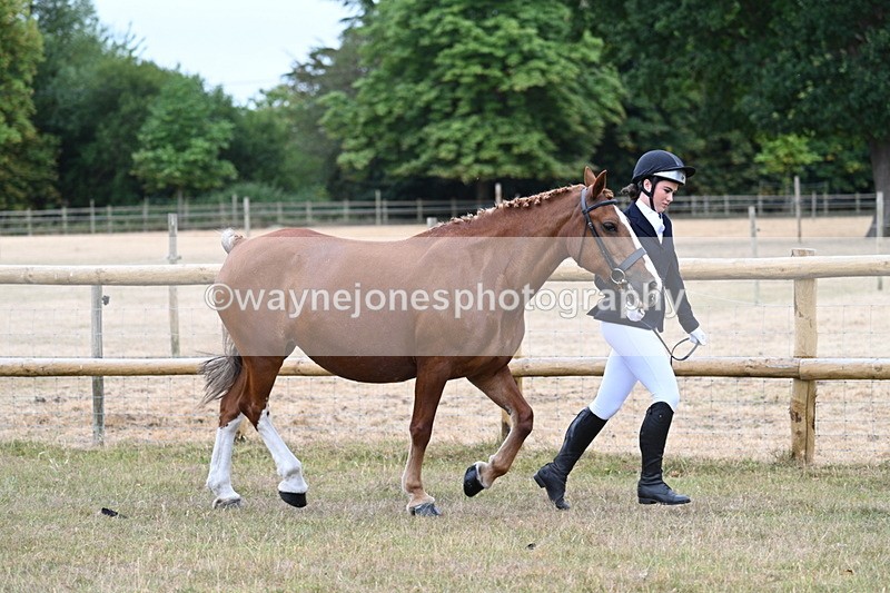 WJ7_8772 - Class 4a Prettiest Mare 14.2hh and over