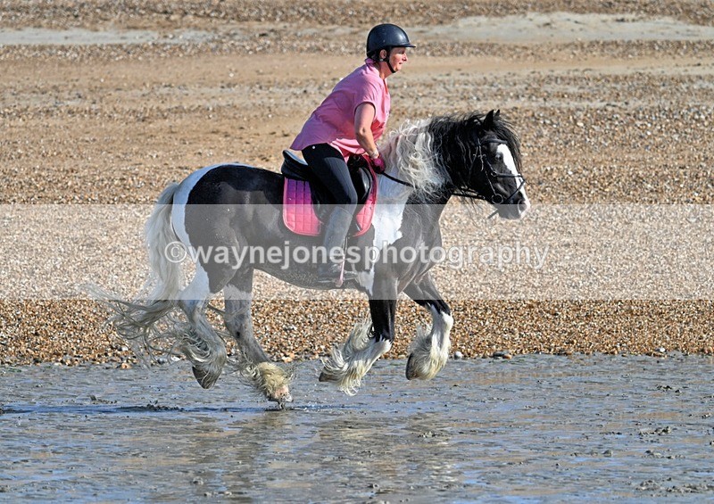 WJ7_3836_1 - Kellie & Churchill ... do Hayling Island 25-08-24
