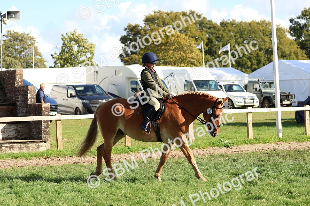 SBM_52359 - S13 - Pony Club Pony