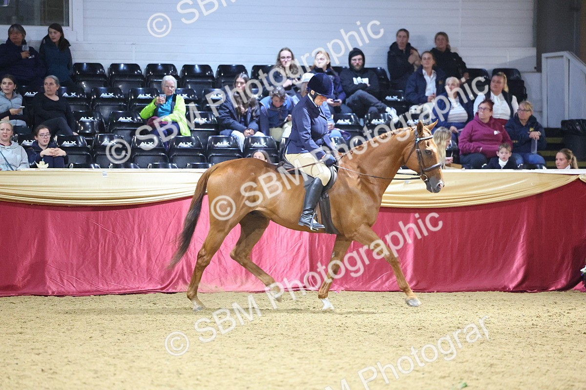 0B8A4269 - Class 108Ridden Retired Racehorse- Final Judging