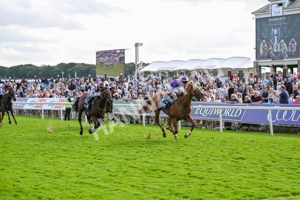 230824-Race 6-Angelo Buonarroti-9885 - Race 6 4.45pm British Stallion Studs EBF Convivial Maiden Stakes