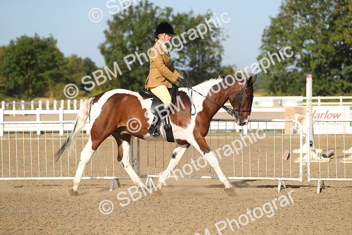 SBM_01124 - Class 42 Ridden Veteran