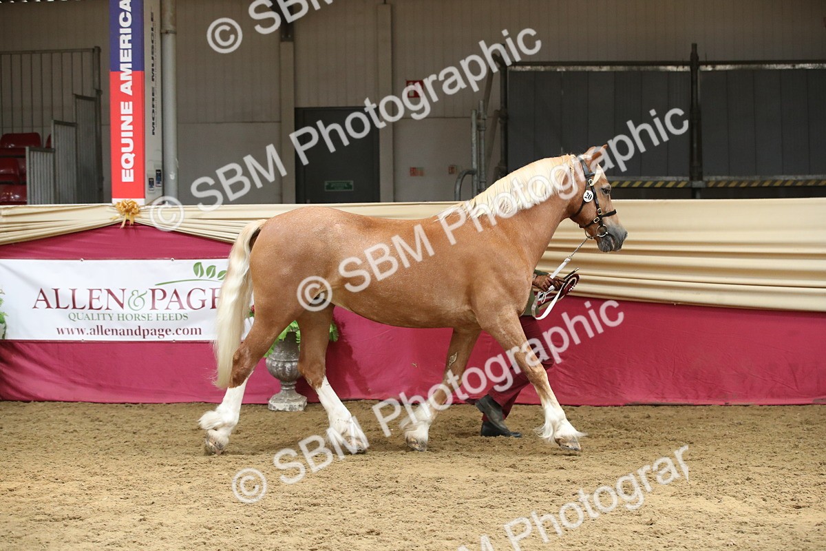 SBM_05468 - Class 8R - Regional IH Veteran
