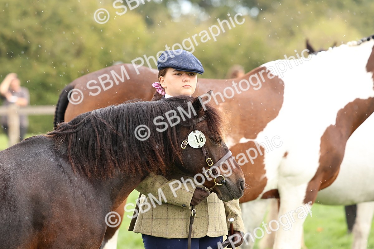SBM_39330 - S24 - Young Veteran In Hand