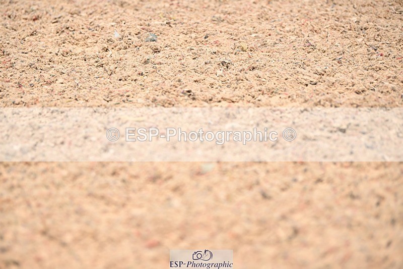 250620-141456-04164 - BD Cls 8 - Elementary 6