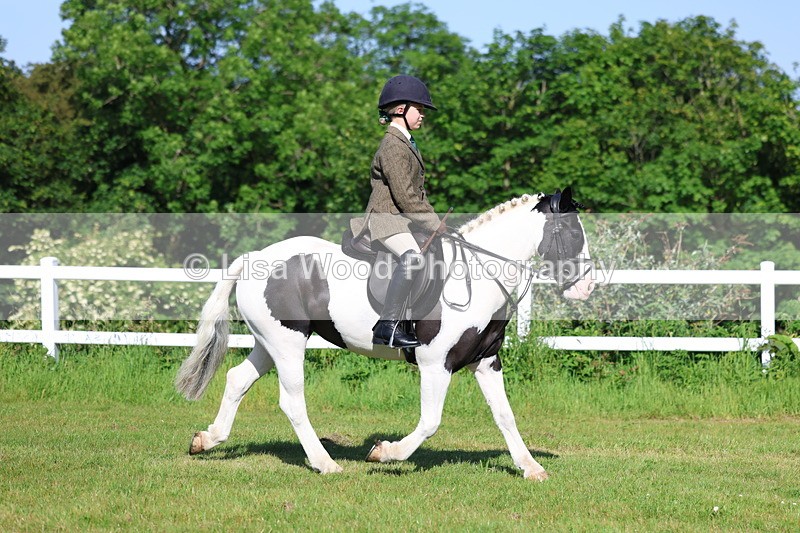 3E7A5959 - Class 27: Novice Working Hunter Pony